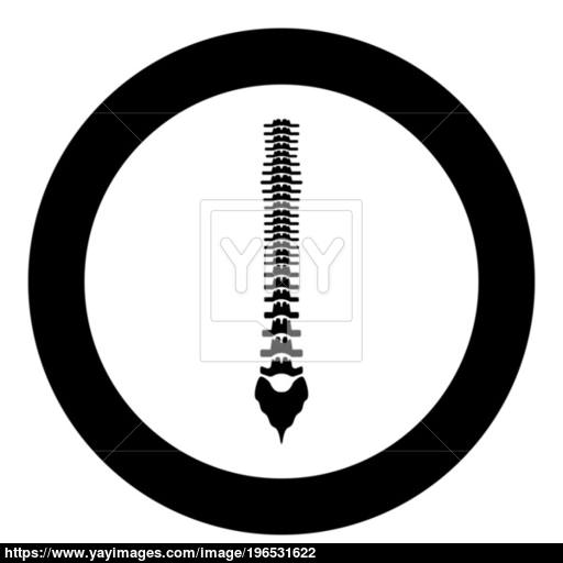 Human Spine Icon Black Color In Circle Or Round Vector 512x512 Human Spine Icon Black Color In Circle Or Round Vector