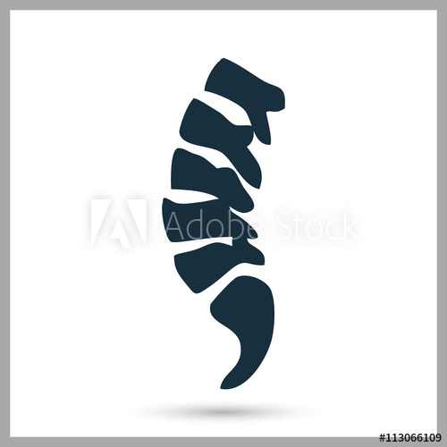 Human Spine Icon On The Background 500x500 Human Spine Icon On The Background