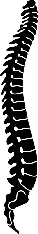 Human Spine Icon Simple Illustration Stock Vector Colourbox 130x800 Human Spine Icon Simple Illustration Stock Vector Colourbox