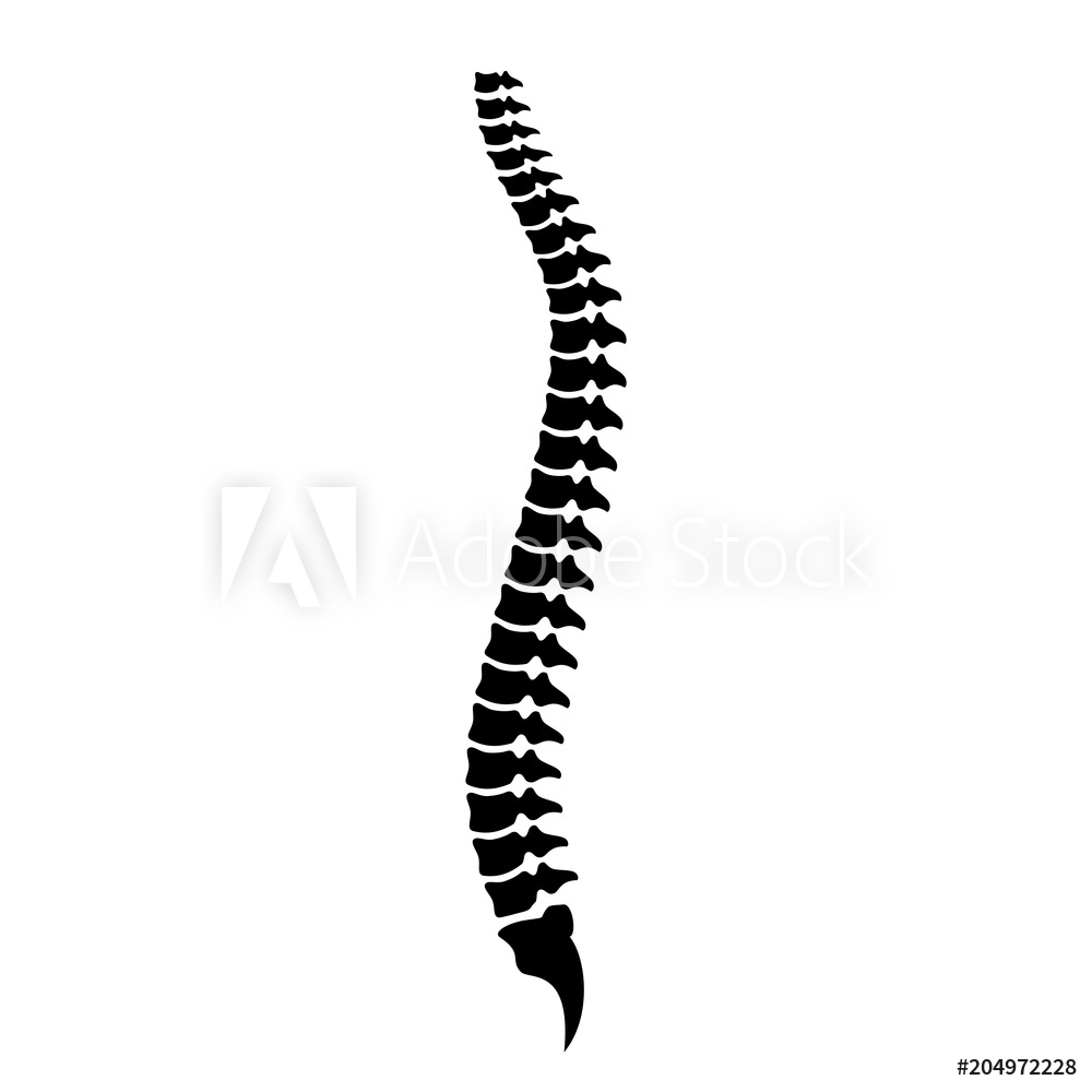 Spine Icon at Vectorified.com | Collection of Spine Icon free for ...