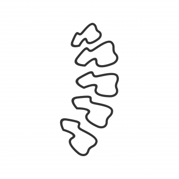 Spine Icon Png Images Vector And Free Download 360x360 Spine Icon Png Images Vector And Free Download