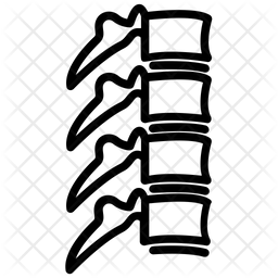 Spine Icon Of Line Style 256x256 Spine Icon Of Line Style