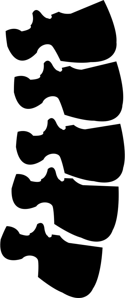 Spine Png Icon Free Download 412x980 Spine Png Icon Free Download