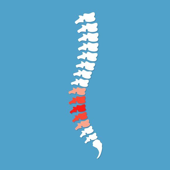 Vector Human Spine Icon Isolated 580x580 Vector Human Spine Icon Isolated