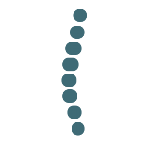 Spine Icon 300x300 Spine Icon