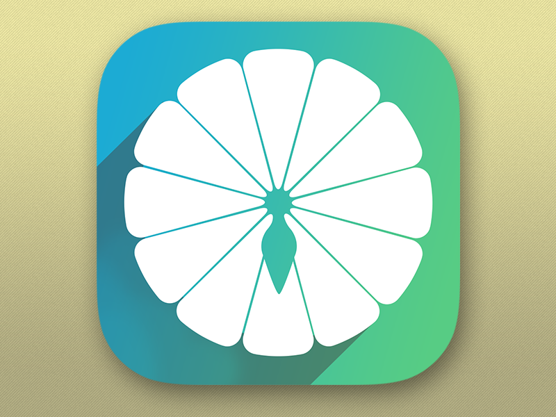 800x600 App Icon For Spinning Wheel Game