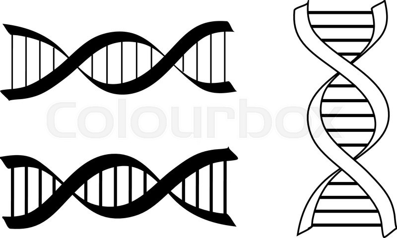 800x480 Hand Drawn Dna Spiral Icon Vector Stock Vector Colourbox