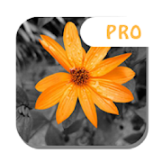 180x180 Color Splash Pro Apk Download