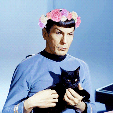 370x370 What Does It Need A Title For Spock Animals I Need A New Icon