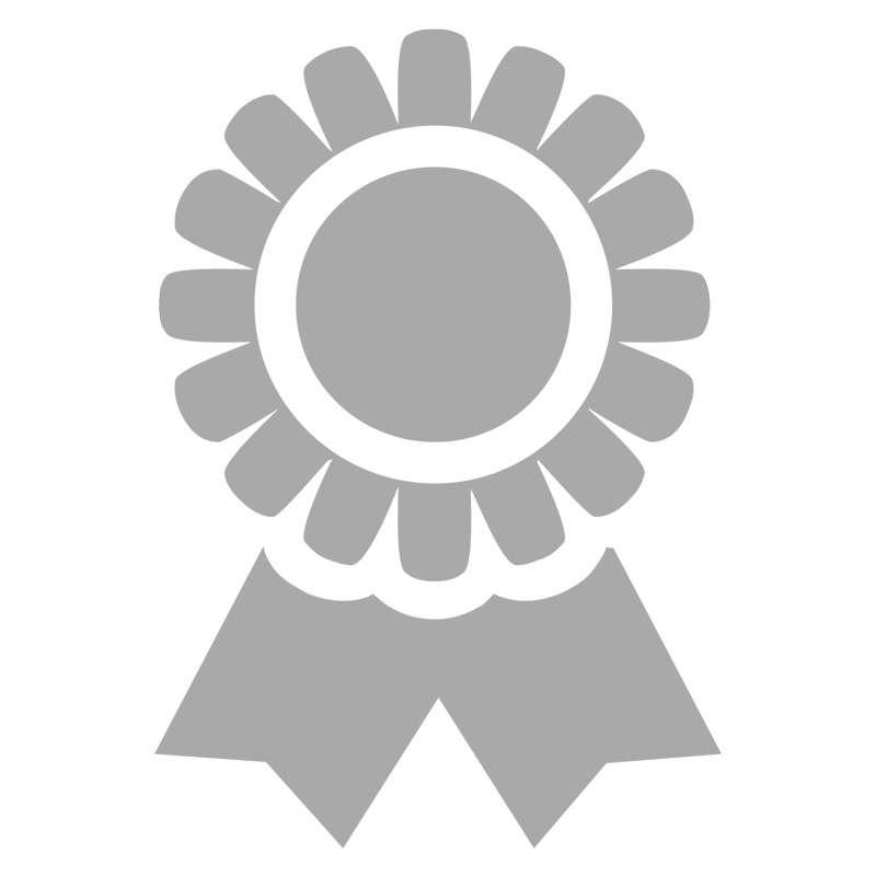 800x800 Sponsor Icon Silver