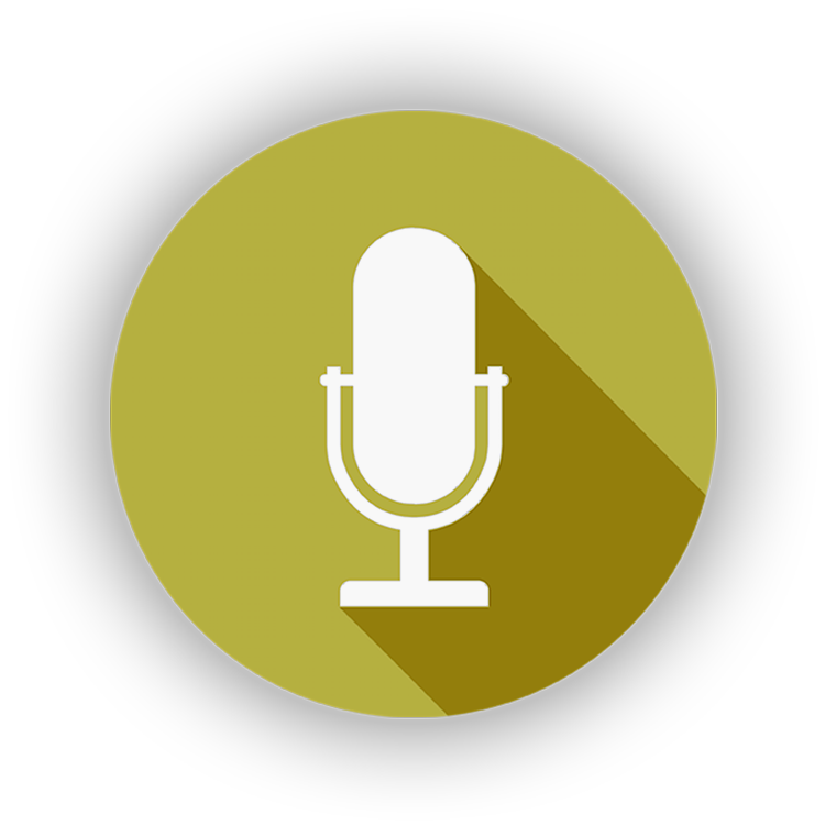 750x750 Radio Spot Icon