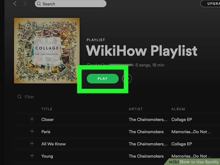 Spotify Desktop Icon