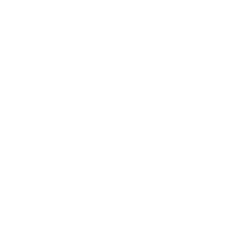 360x360 Spotify Icon Logo