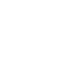256x256 Free White Spotify Icon