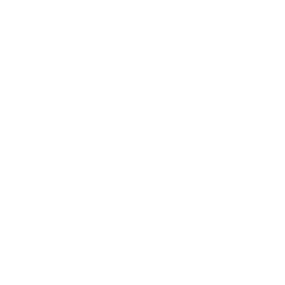 256x256 White Spray Can Icon
