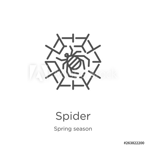 500x500 Spider Icon Vector From Spring Season Collection Thin Line Spider