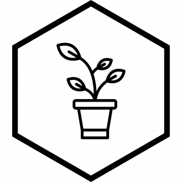 Sprout Icon Png Images Vector And Free Download 360x360 Sprout Icon Png Images Vector And Free Download