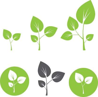 Sprout Icon Vector Stock Vectors 418x414 Sprout Icon Vector Stock Vectors