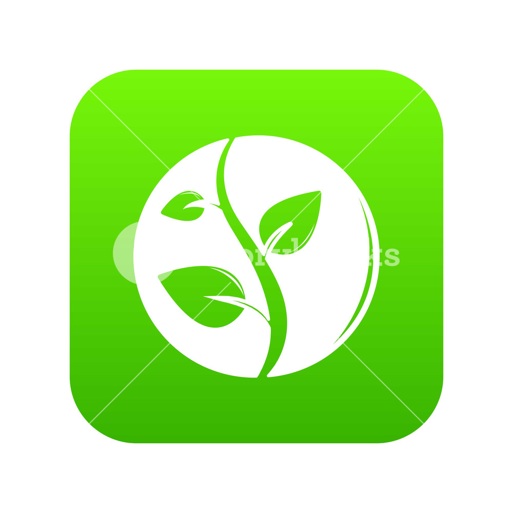 Sprout Icon Green Vector Isolated On White Background Royalty Free 1000x1000 Sprout Icon Green Vector Isolated On White Background Royalty Free
