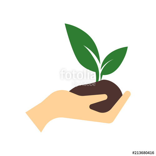 Sprout Icon Vector Sign And Symbol Isolated On White Background 500x500 Sprout Icon Vector Sign And Symbol Isolated On White Background