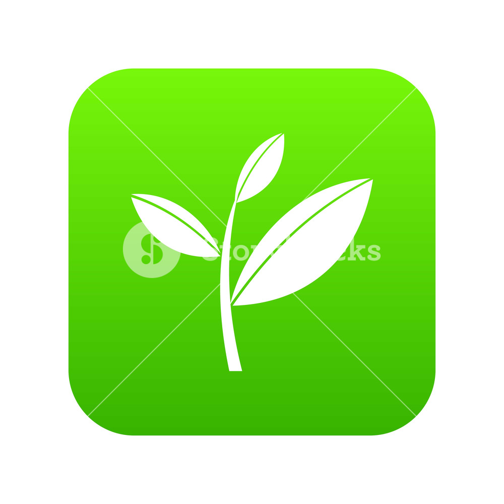 Tea Leaf Sprout Icon Digital Green For Any Design Isolated 1000x1000 Tea Leaf Sprout Icon Digital Green For Any Design Isolated