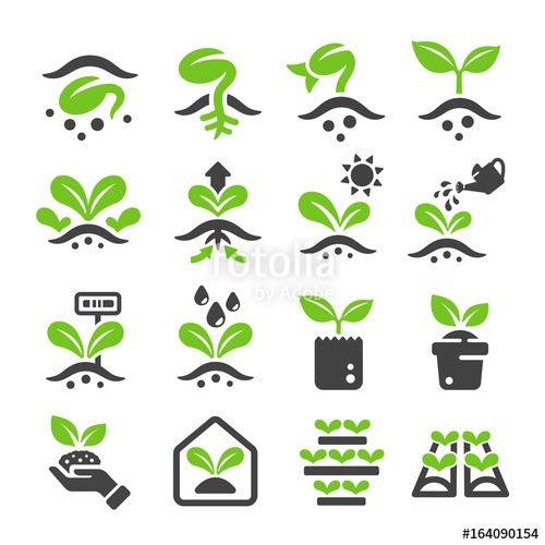 Sprout Icon Stock Image And Royalty Free Vector On Fotolia 500x500 Sprout Icon Stock Image And Royalty Free Vector On Fotolia