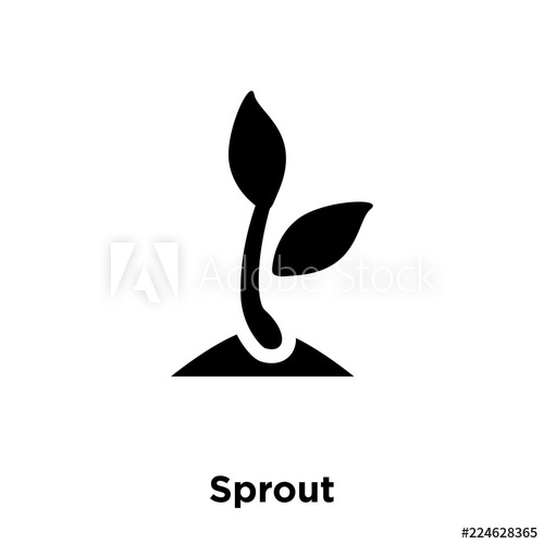 Sprout Icon Vector Isolated On White Background, Logo Concept 500x500 Sprout Icon Vector Isolated On White Background, Logo Concept