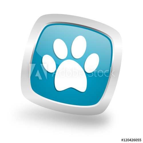 500x500 Foot Square Blue Glossy Chrome Silver Metallic Web Icon