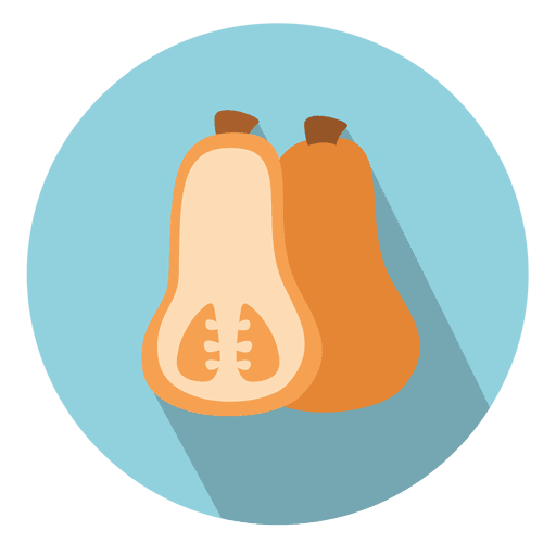 512x512 Squash Circle Icon