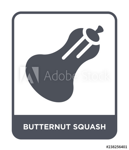430x500 Butternut Squash Icon Vector
