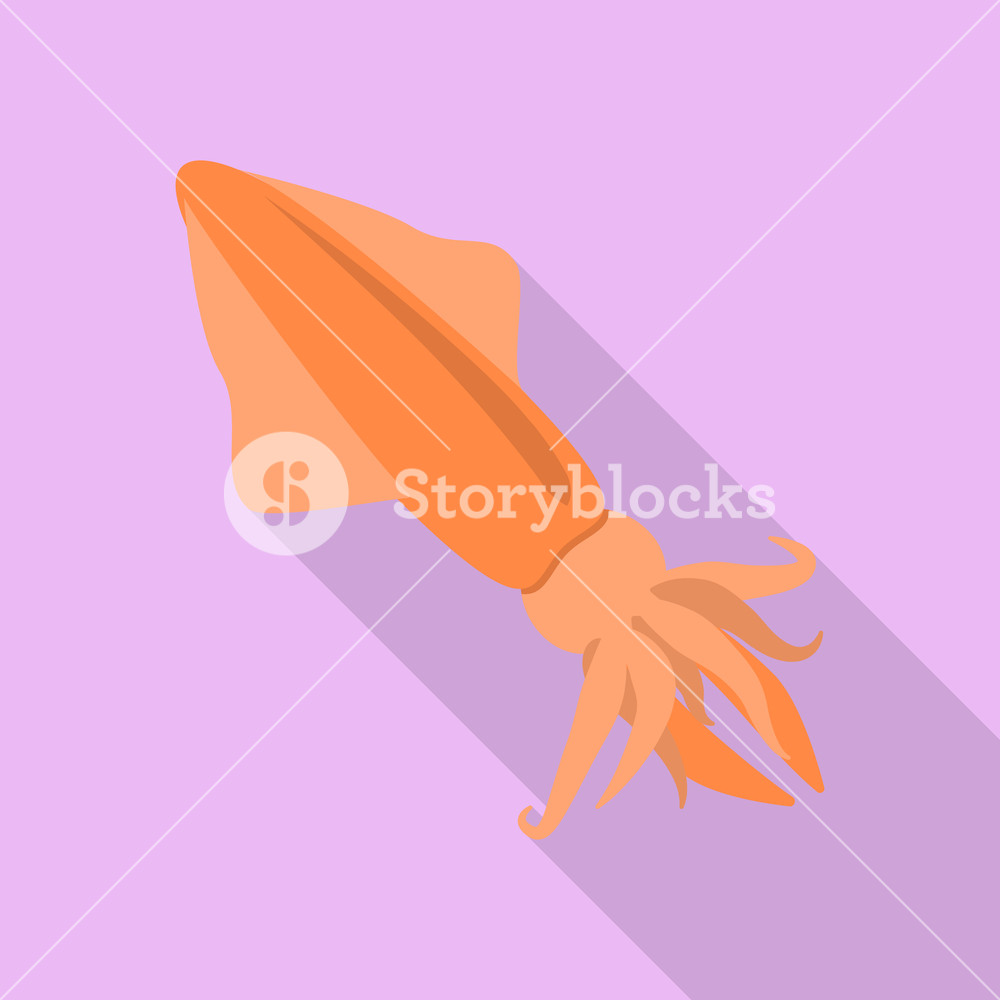 1000x1000 Squid Icon Flat Illustration Of Squid Vector Icon For Web Design