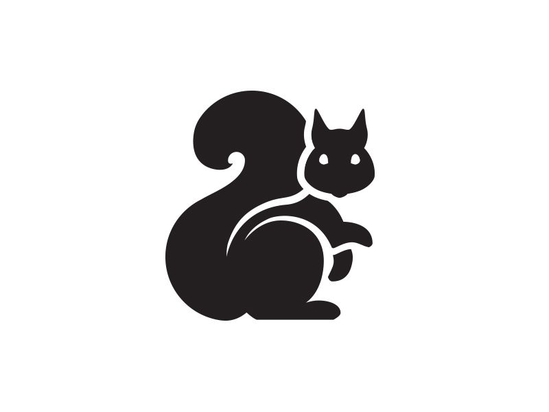 800x600 Squirrel Icon