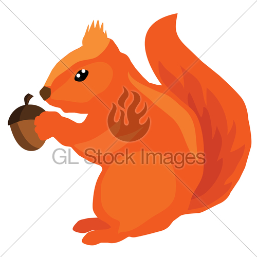 500x500 Squirrel Icon Acorn Gl Stock Images