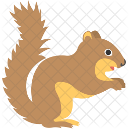 256x256 Squirrel Icon Of Flat Style
