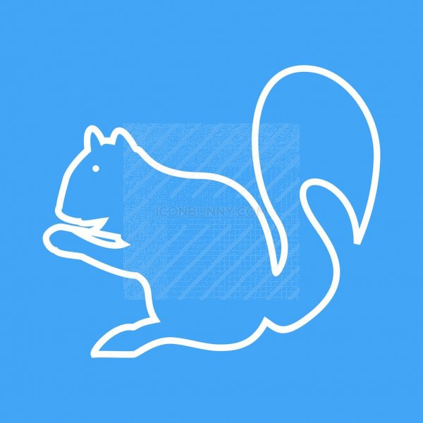 600x600 Squirrel Line Multicolor Bg Icon