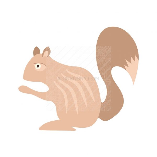 600x600 Squirrel Flat Multicolor Icon