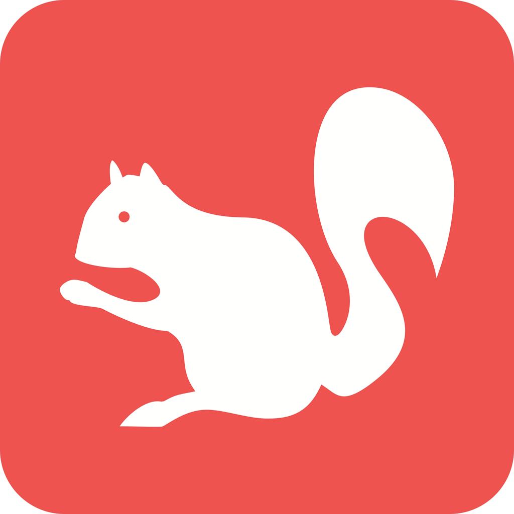 1024x1024 Squirrel Flat Round Corner Icon