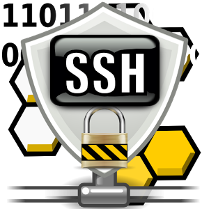 300x300 Top Five Ssh Clients For Windows And Mac Prolimehost Blog