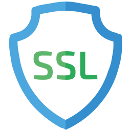 256x256 Ssl Icon