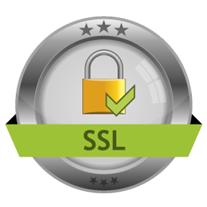 300x300 Icon Vector Ssl Encryption