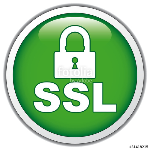 500x500 Ssl Icon Stock Image And Royalty Free Vector