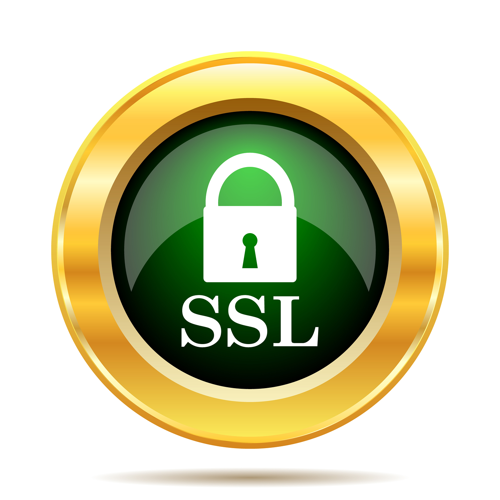 1600x1600 Ssl Icon