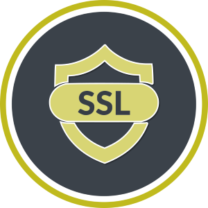 300x300 Wordpress Service Bundle To Help Maintain Your Wordpress Website