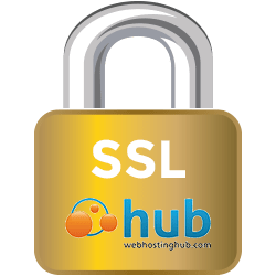 250x250 Ssl Lock Icon Security