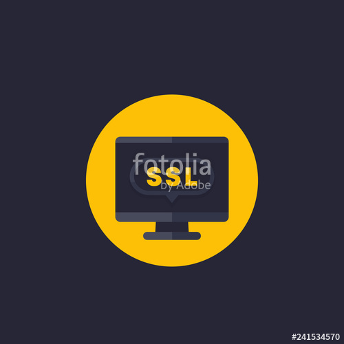 500x500 Ssl Secure Icon Stock Image And Royalty Free Vector