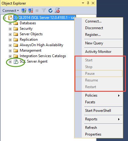 Ssms Icon at Vectorified.com | Collection of Ssms Icon free for ...
