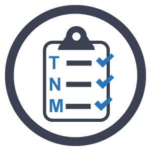 300x300 Staging Icon