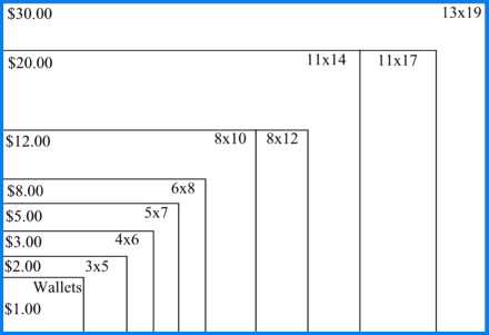 440x301 Print Size Chart Admirable Megapixels Vs Print Sizes Alpha