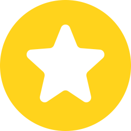 256x256 Star Icon Flat