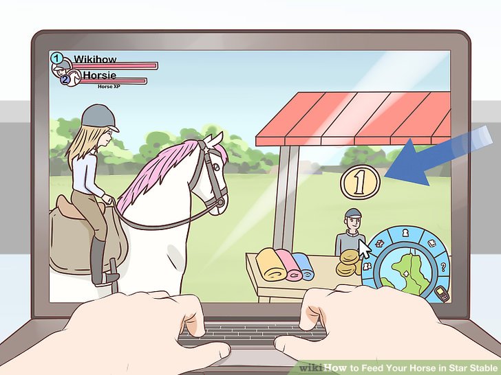 728x546 How To Feed Your Horse In Star Stable Steps